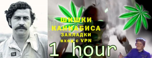 индика Сафоново