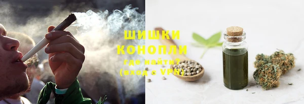 индика Сафоново
