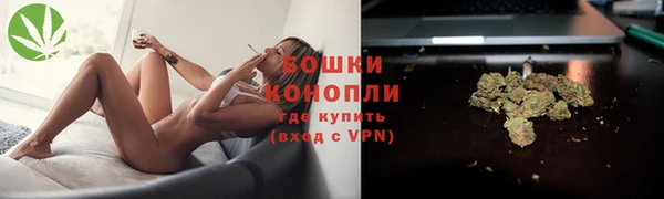 индика Сафоново