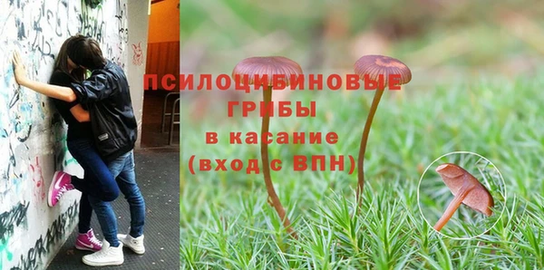 каннабис Алексеевка