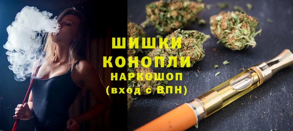 индика Сафоново