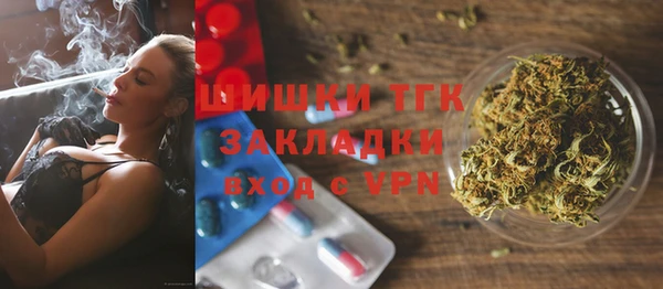 индика Сафоново
