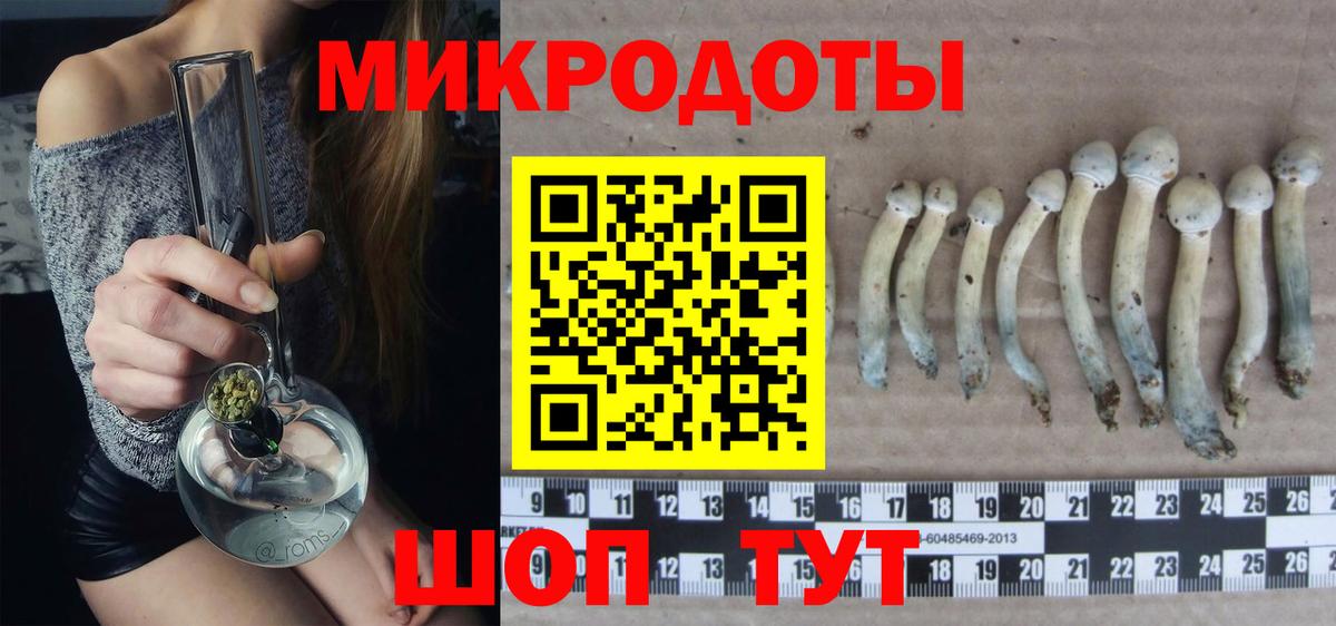 Галлюциногенные грибы Psilocybe Борисоглебск