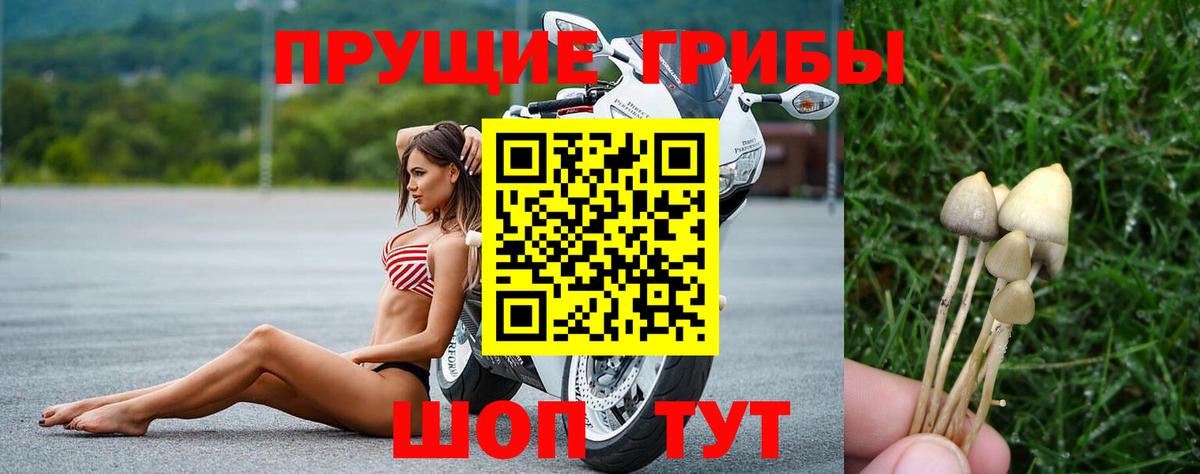 Псилоцибиновые грибы мухоморы Борисоглебск
