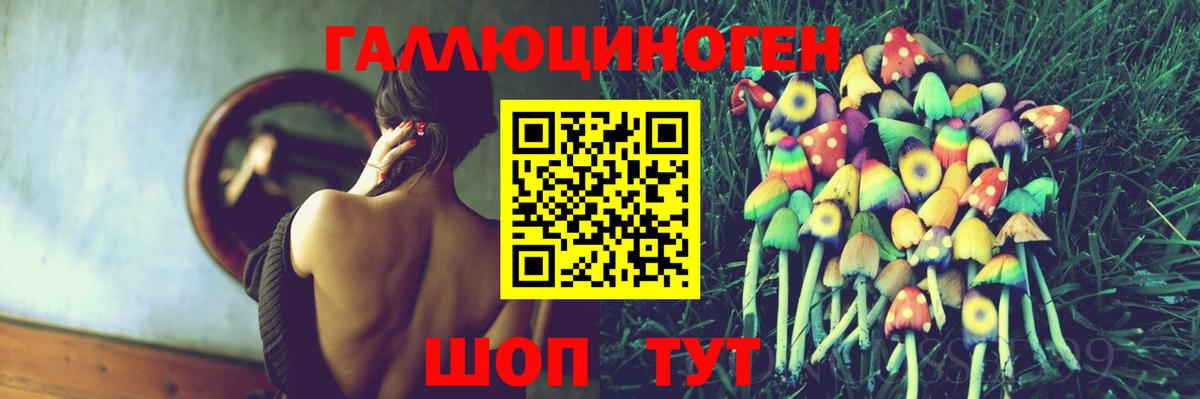Борисоглебск  цены   Вход с VPN  Псилоцибиновые грибы Magic Shrooms  Псилоцибиновые грибы GOLDEN TEACHER 